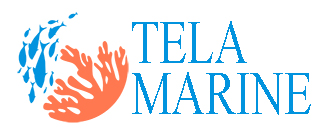 Tela Marine