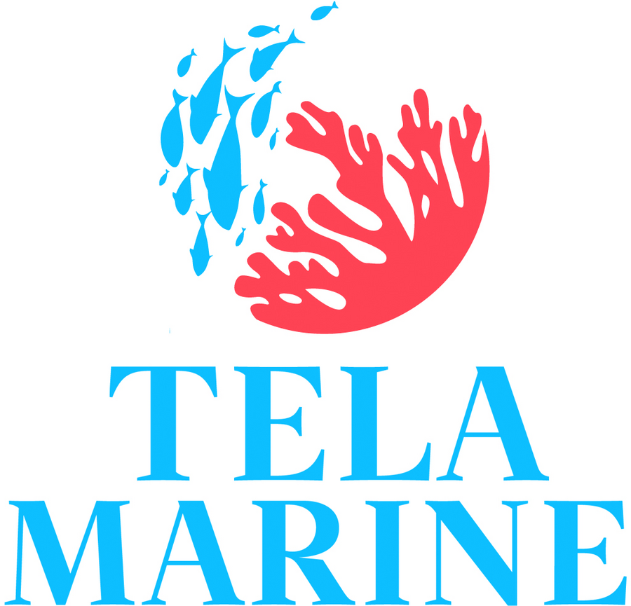 Logo Tela Marine